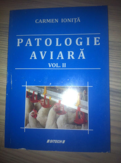 iphone 27.11.2013 161