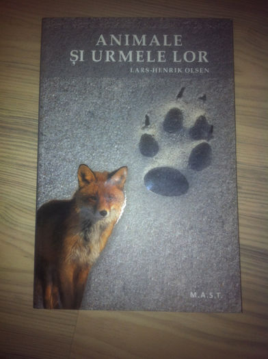 iphone 27.11.2013 165