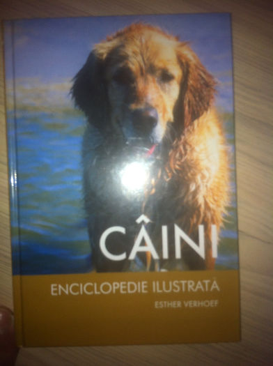 iphone 27.11.2013 175