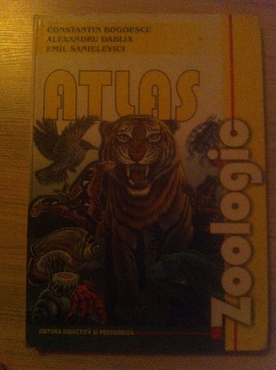 iphone 27.11.2013 176