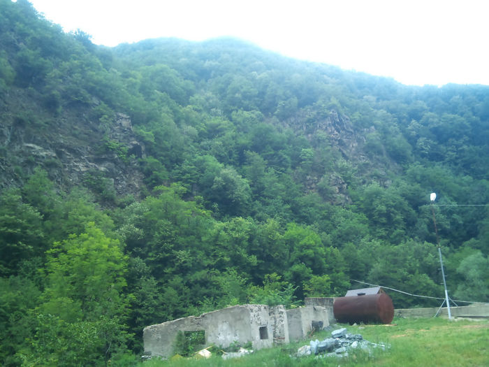DSC_0131 - Poze din activitatea 2013