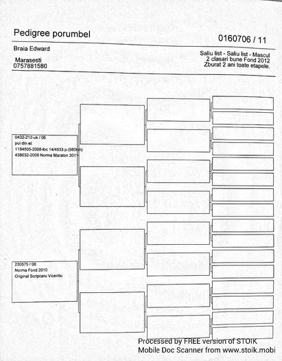 Shaly-L pedigree