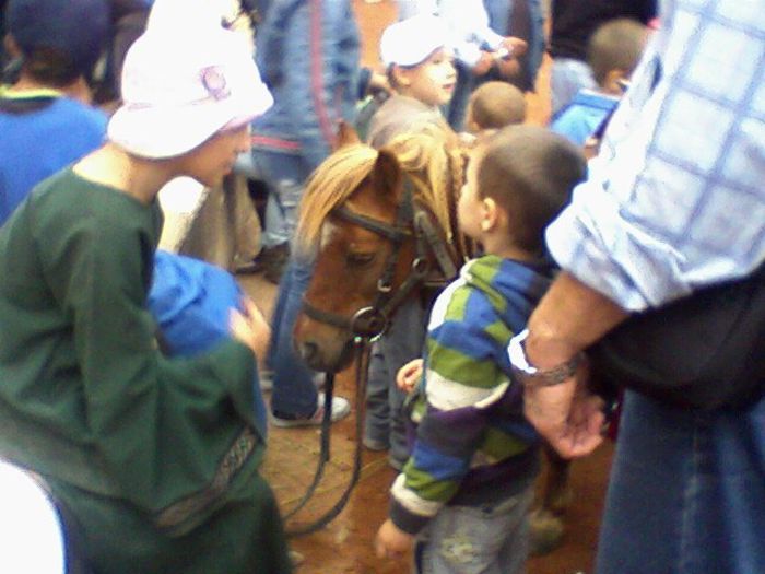 Fotografii-0005 - dvd1