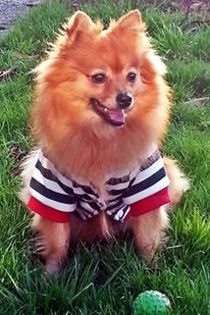 1458542_650724591646050_1811200886_n - iubirea mea Maya