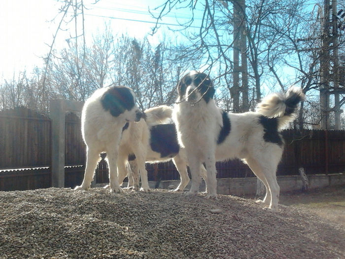 2013-12-07 12.06.42 - Molda