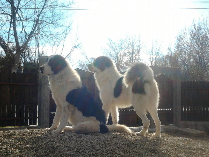 2013-12-07 12.07.10 - Molda