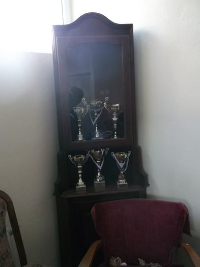 VITRINA CU  O PARTE DIN TROFEE VITRINA CU  O PARTE DIN TROFEE