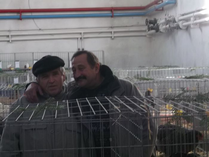 POPAN SI ...PUIU ,DOI ARBITRI POPAN SI ...PUIU ,DOI ARBITRI