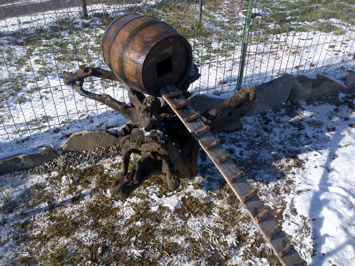 Ultima Lucrare - Pasari De Apa