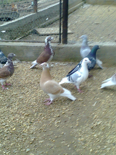 NES 20130435 - Copy - Copy