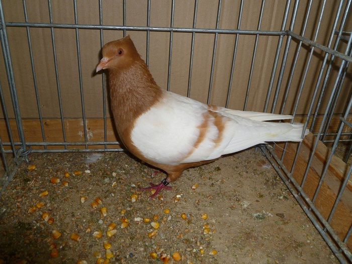 188