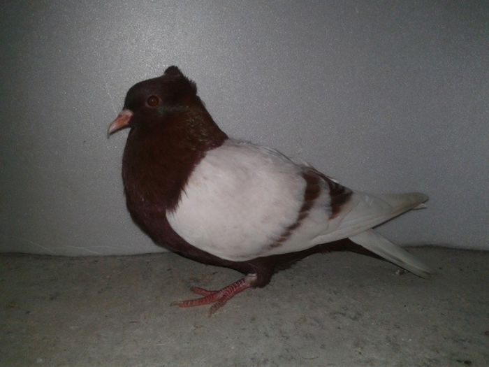 190