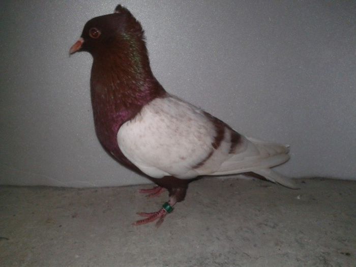 191