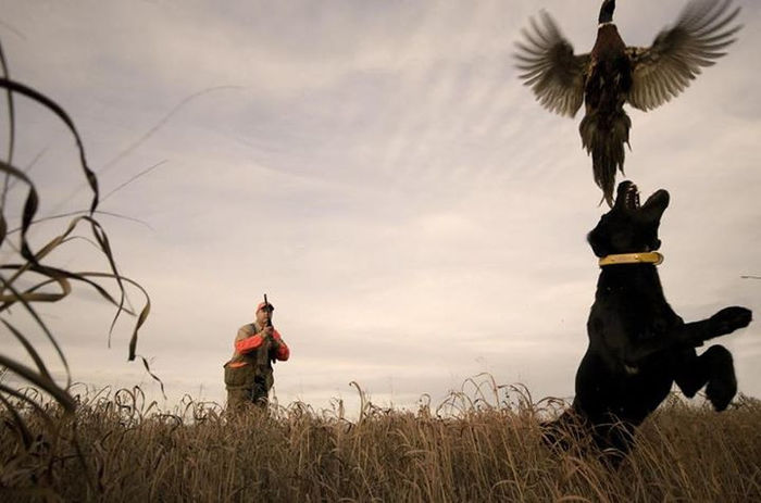 543299_10151691455873538_1680110348_n - Caini MAsterD