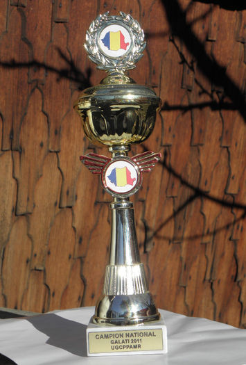 campion national visiniu romanesc galati 2011 - REZULTATE