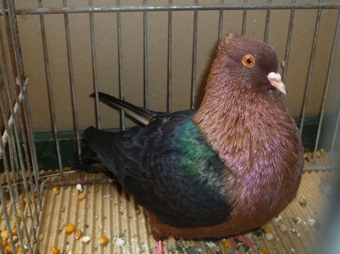 202