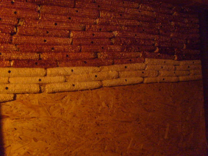 2008-09-01 19.30.32; adapostul si izolatia aferenta
