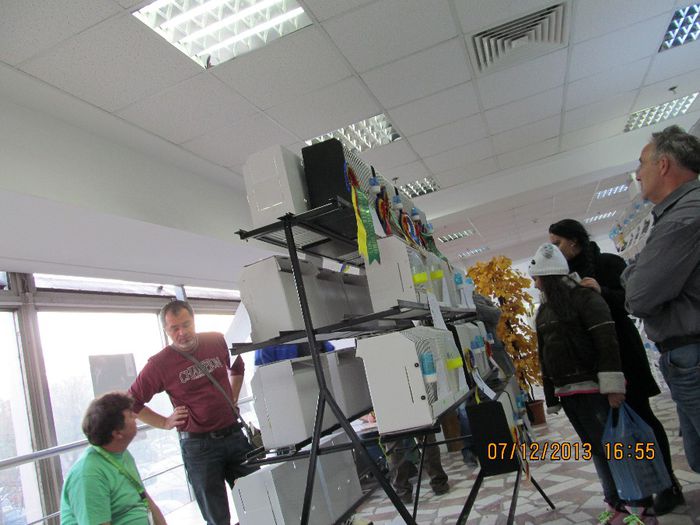 Picture 089 - Expo FOR Bucuresti 2013