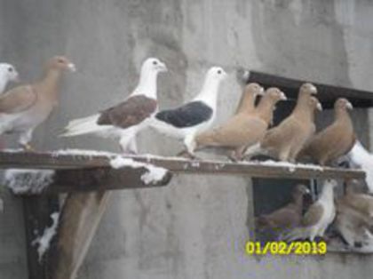 86736211_PHJCCPT