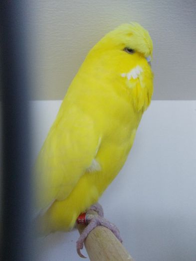 DSCN2457 - EXPO FOR 2013