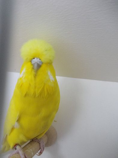 DSCN2459 - EXPO FOR 2013