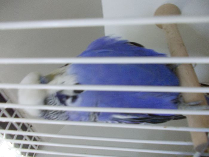 DSCN2462 - EXPO FOR 2013