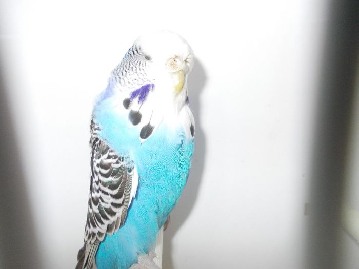 DSCN2464 - EXPO FOR 2013