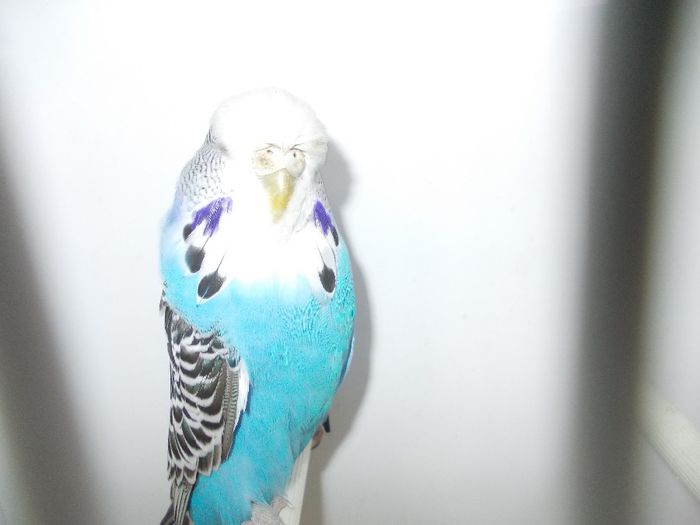 DSCN2465 - EXPO FOR 2013