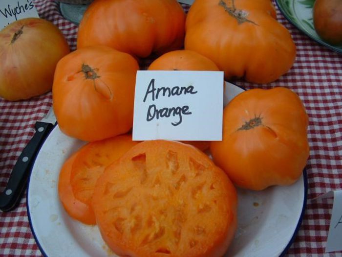 amana orange