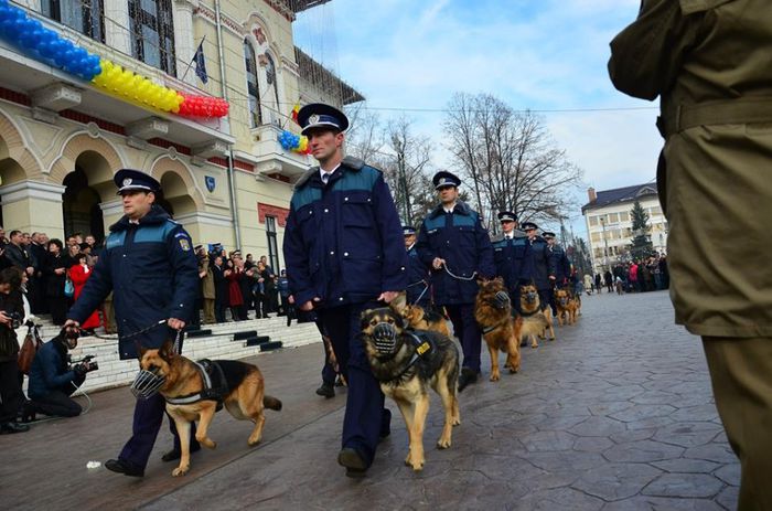 1385370_422515971208812_48147175_n