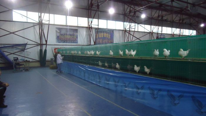DSC03461