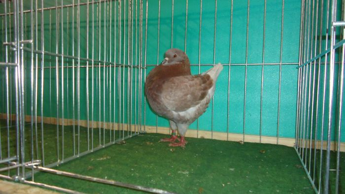 DSC03519