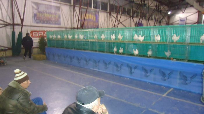 DSC03525