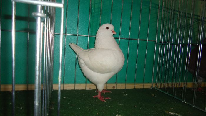 DSC03549
