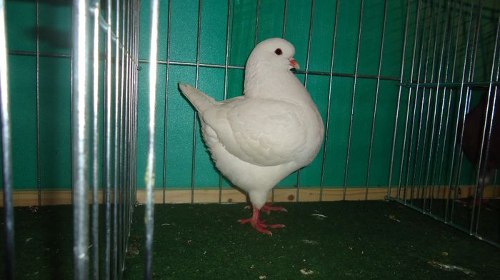 DSC03550