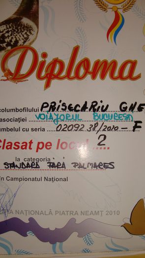 DSC02828 - Premii obtinute - cupe si diplome