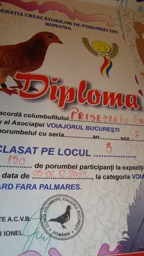 DSC02831 - Premii obtinute - cupe si diplome