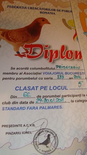 DSC02834 - Premii obtinute - cupe si diplome