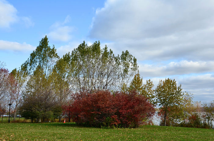 DSC_1949 - TOAMNA IN MONTREAL