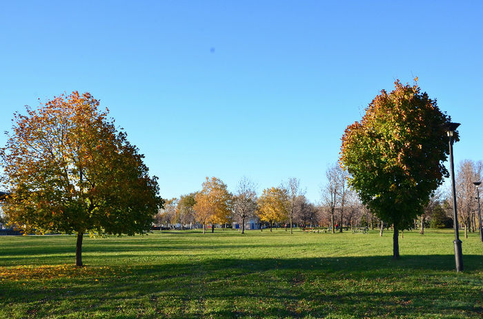 DSC_2642 - TOAMNA IN MONTREAL