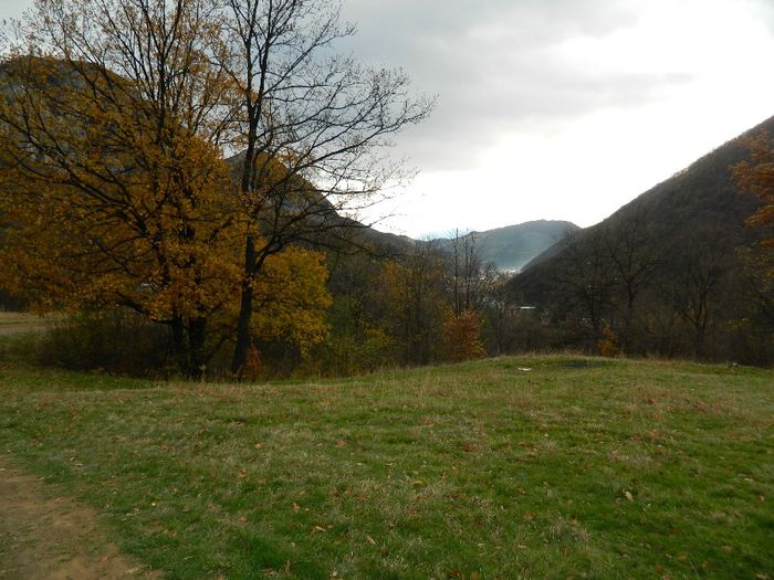 DSCN8942