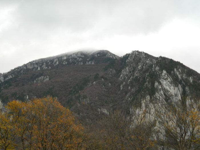 DSCN8945