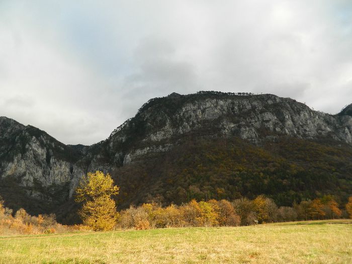 DSCN8981