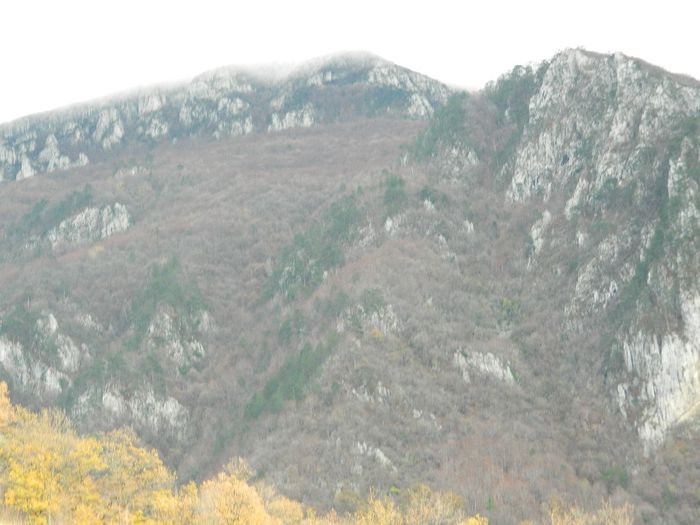 DSCN8984