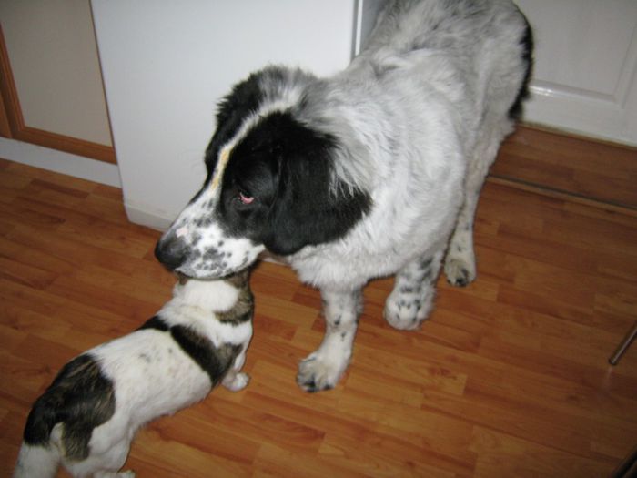 Picture 001