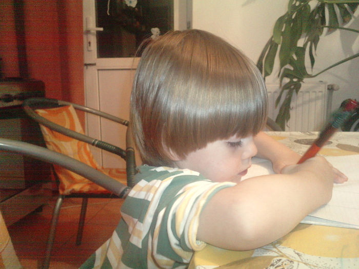 PATRIC 2013 DECEMBRIE