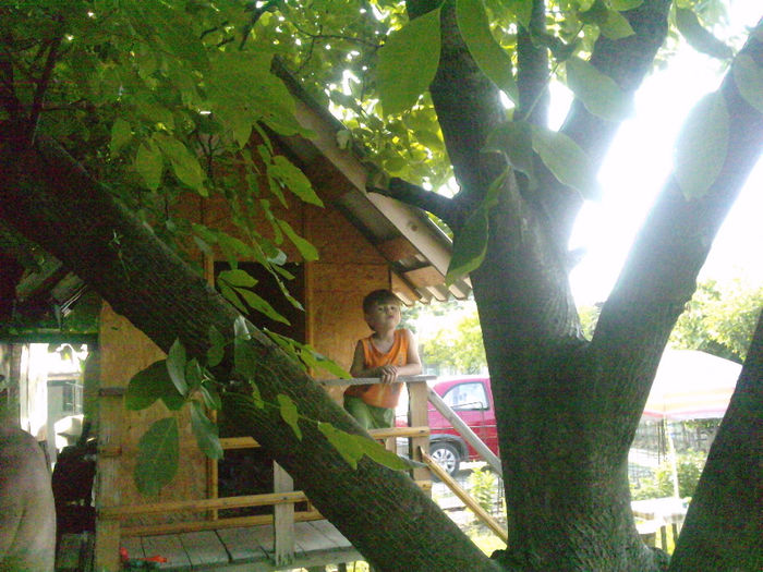 LA CASUTA -VARA 2013