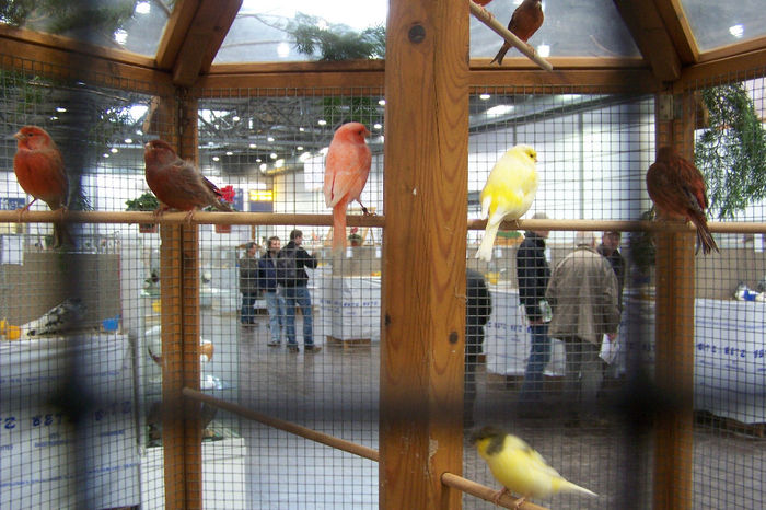 Picture 173 - expozitie Leipzig 2013