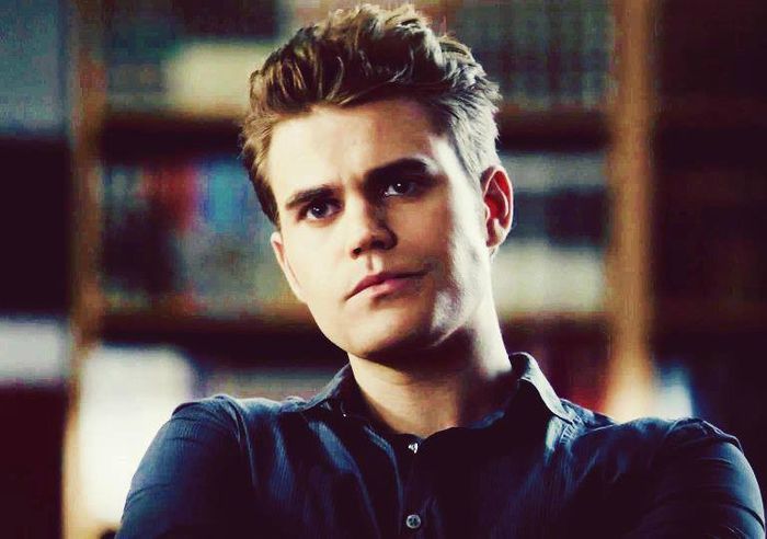 1391988_648872141823957_312324307_n - stefan salvatore