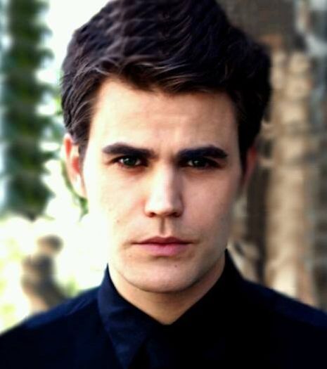 1456112_674552859255885_1667898186_n - stefan salvatore